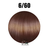 Фарба для волосся Erayba Gamma 6/60